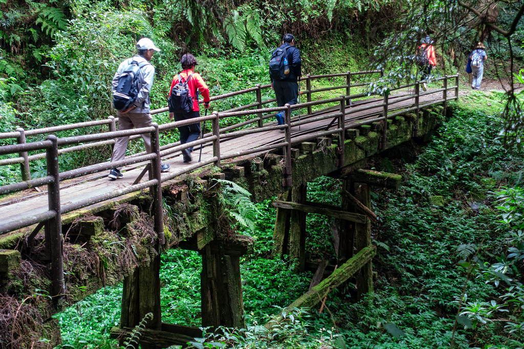 DSC06969-編輯.jpg DSC06969-編輯.jpg