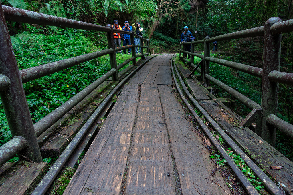 DSC06972-編輯.jpg DSC06972-編輯.jpg