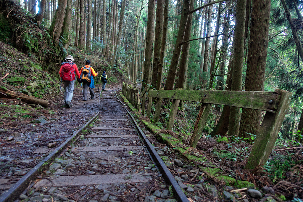 DSC06973-編輯.jpg DSC06973-編輯.jpg