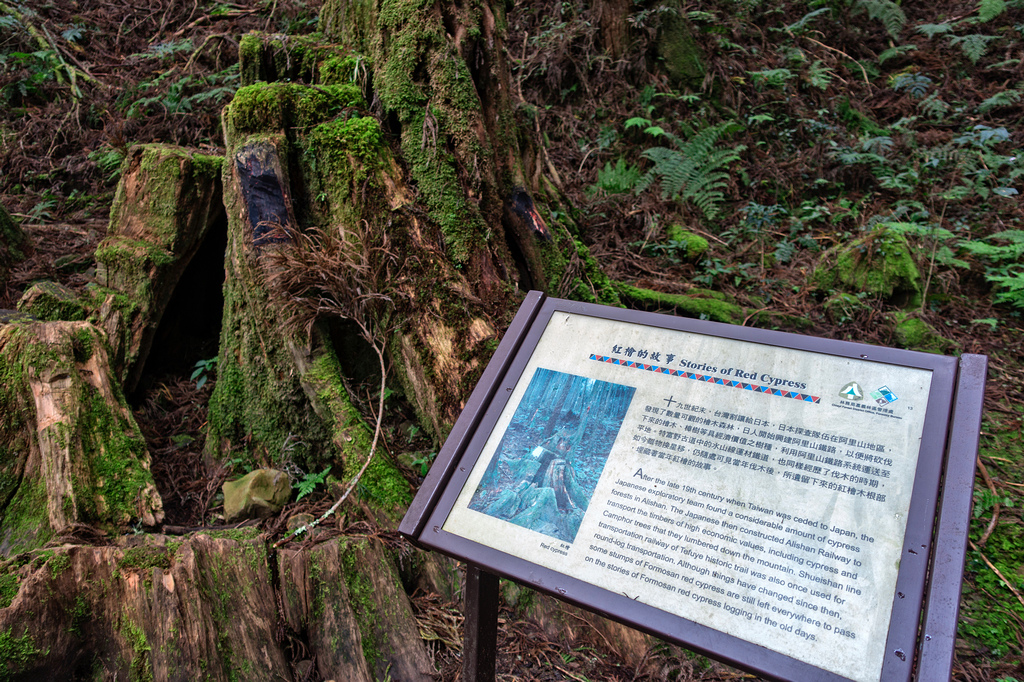 DSC06975-編輯.jpg DSC06975-編輯.jpg