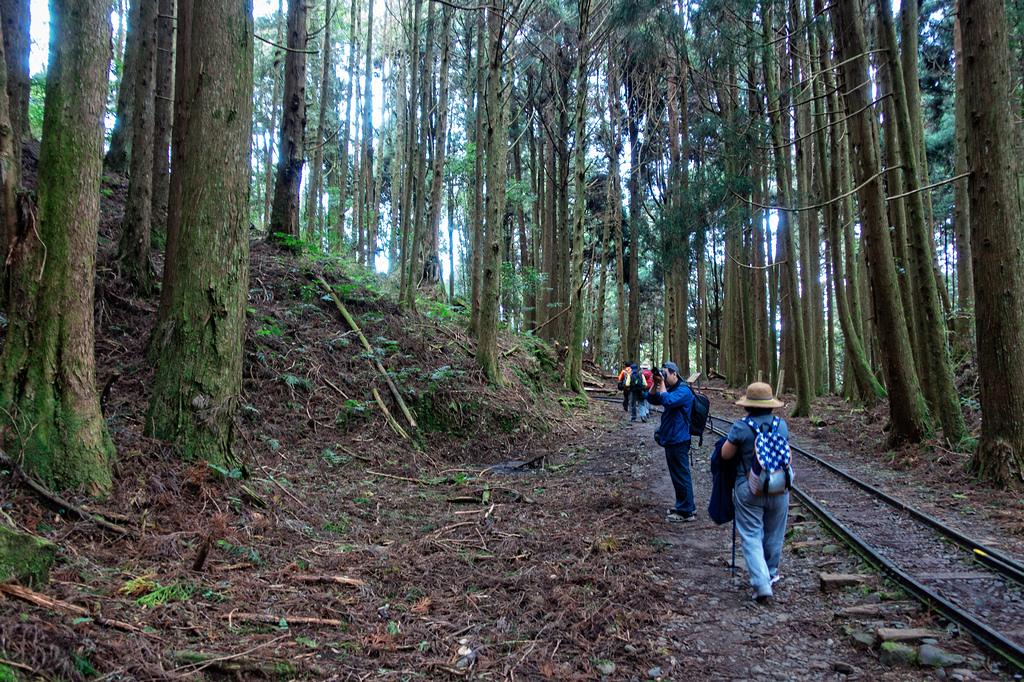 DSC06979-編輯.jpg DSC06979-編輯.jpg