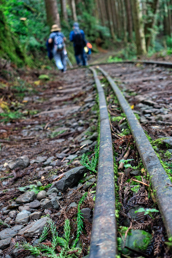 DSC06982-編輯.jpg DSC06982-編輯.jpg