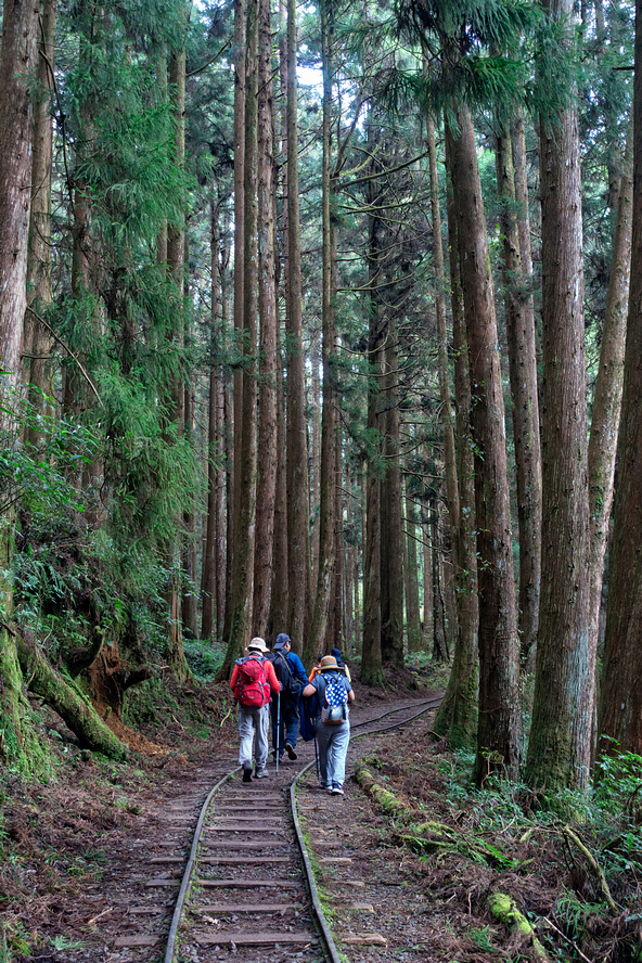 DSC06983-編輯.jpg DSC06983-編輯.jpg