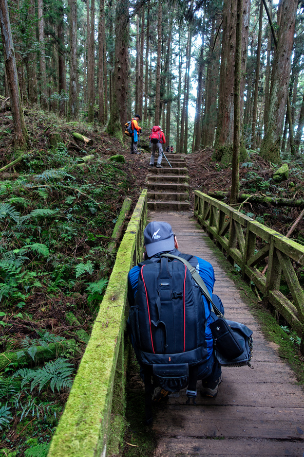 DSC06986-編輯.jpg DSC06986-編輯.jpg