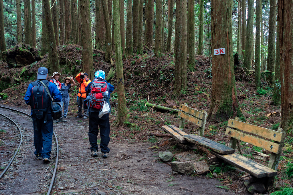 DSC06993-編輯.jpg DSC06993-編輯.jpg