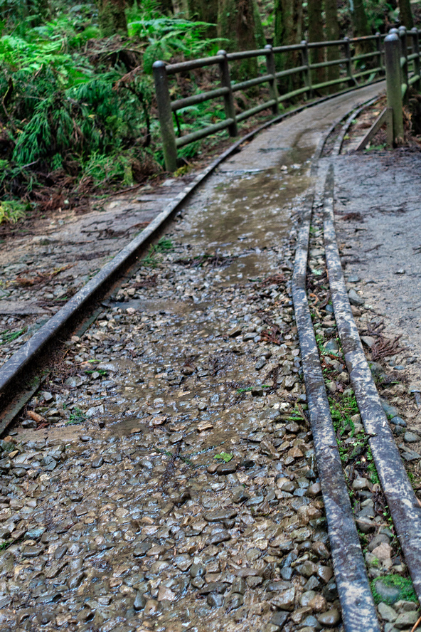 DSC06996-編輯.jpg DSC06996-編輯.jpg