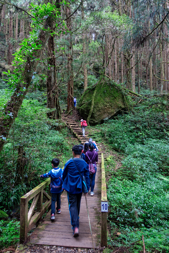 DSC07001-編輯.jpg DSC07001-編輯.jpg