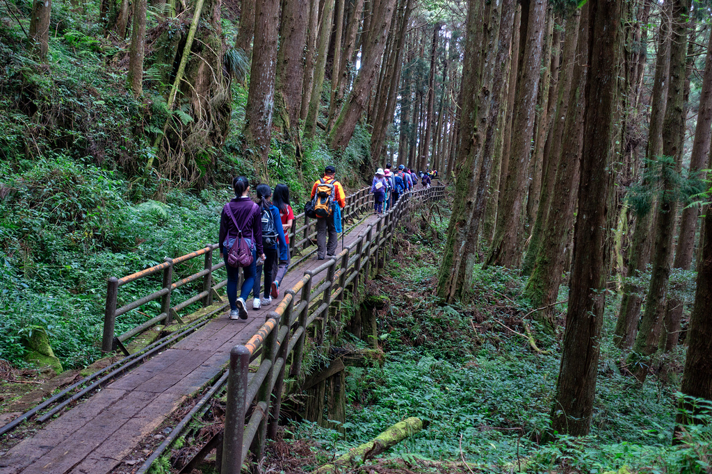 DSC07006-編輯.jpg DSC07006-編輯.jpg