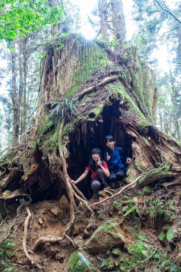 DSC07010-編輯-編輯.jpg DSC07010-編輯-編輯.jpg