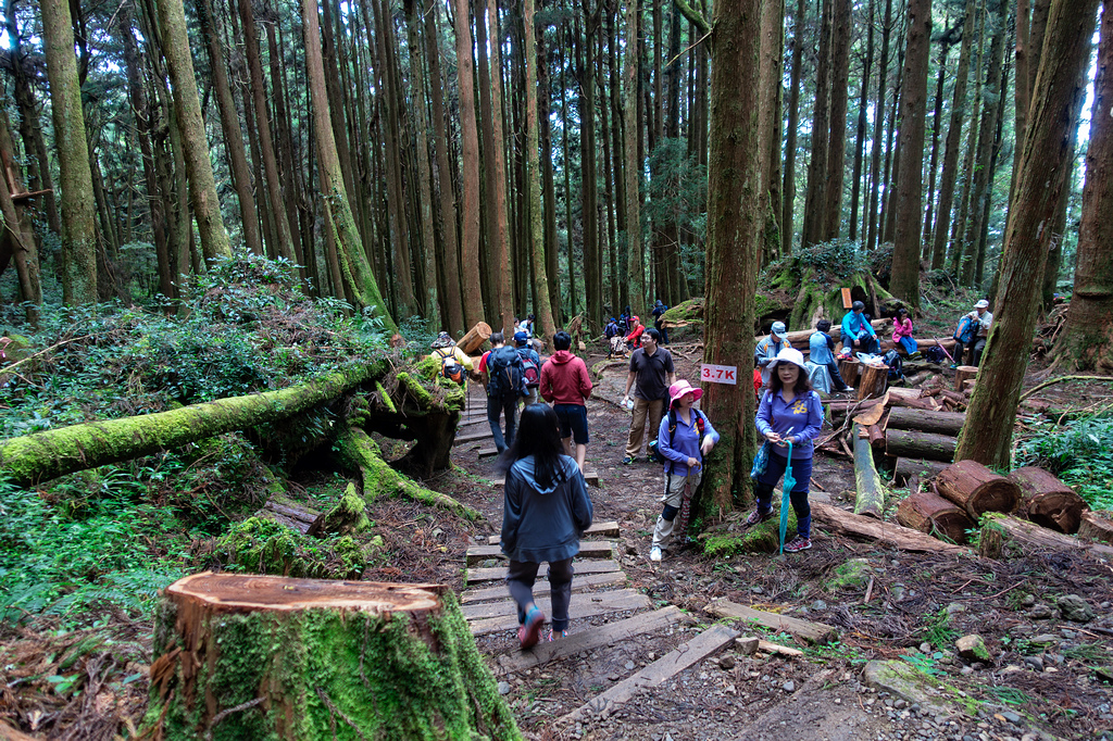 DSC07013-編輯.jpg DSC07013-編輯.jpg