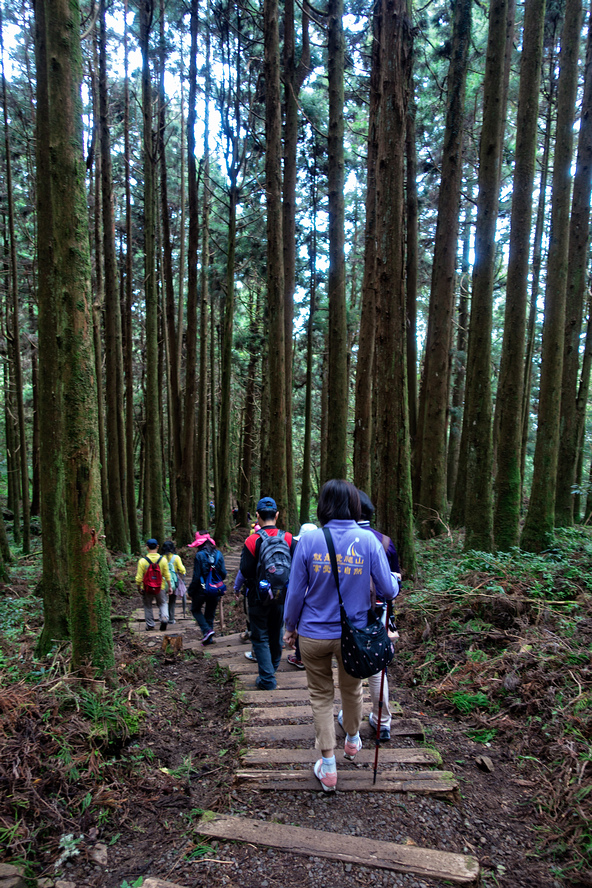 DSC07017-編輯.jpg DSC07017-編輯.jpg