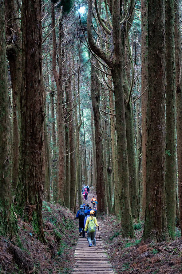 DSC07020-編輯.jpg DSC07020-編輯.jpg