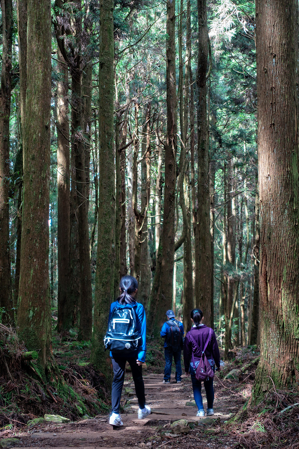 DSC07024-編輯.jpg DSC07024-編輯.jpg