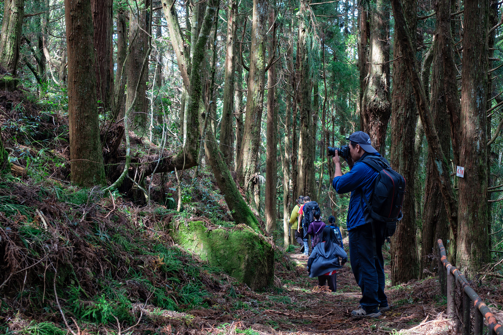 DSC07033-編輯.jpg DSC07033-編輯.jpg