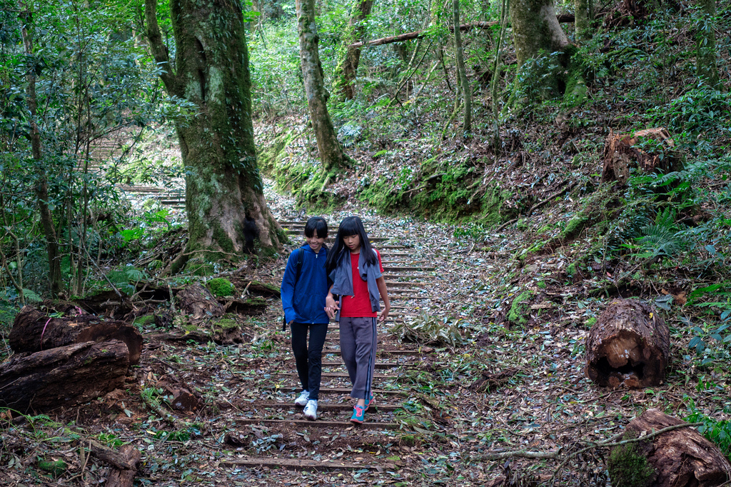 DSC07046-編輯.jpg DSC07046-編輯.jpg