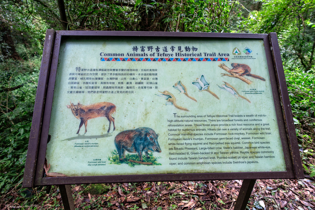 DSC07050-編輯.jpg DSC07050-編輯.jpg