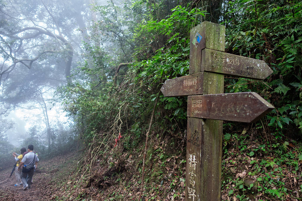 DSC07056-編輯.jpg DSC07056-編輯.jpg