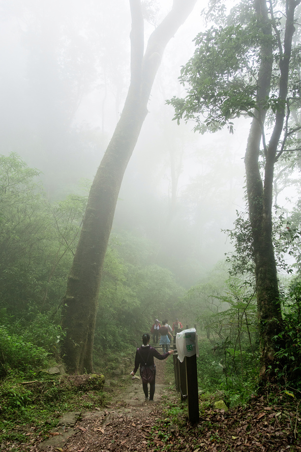 DSC07060-編輯.jpg DSC07060-編輯.jpg