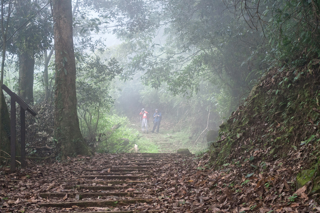 DSC07061-編輯.jpg DSC07061-編輯.jpg