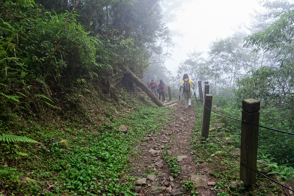 DSC07062-編輯.jpg DSC07062-編輯.jpg