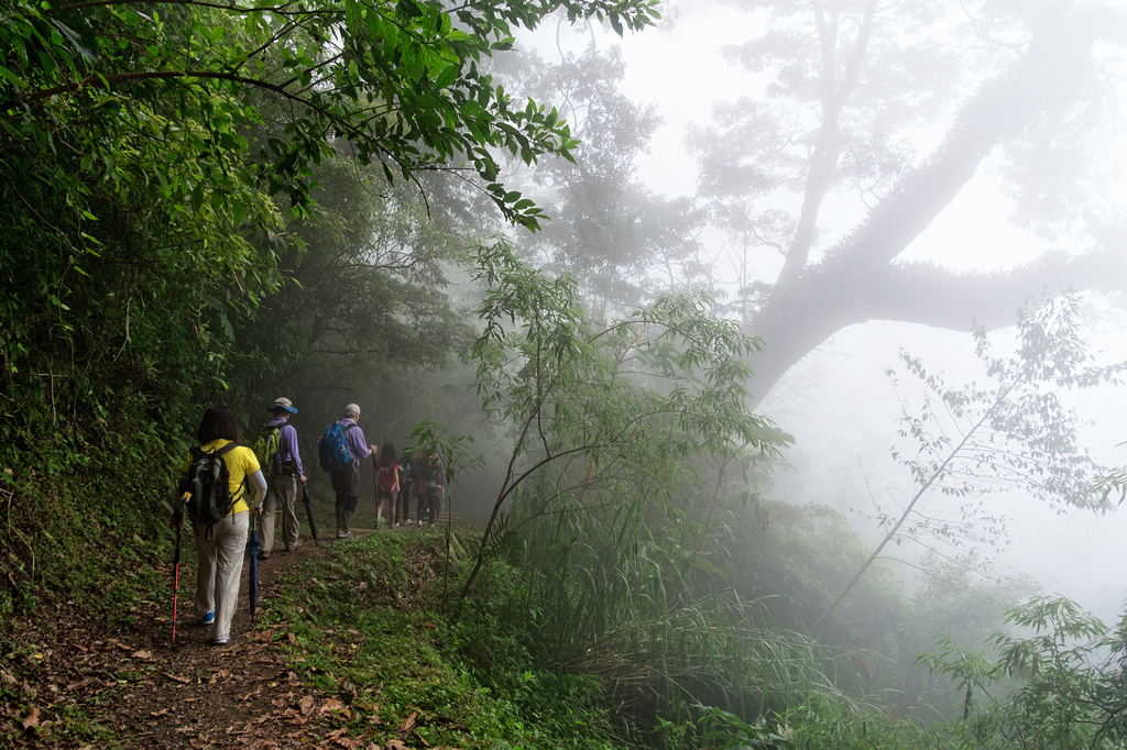 DSC07064-編輯.jpg DSC07064-編輯.jpg