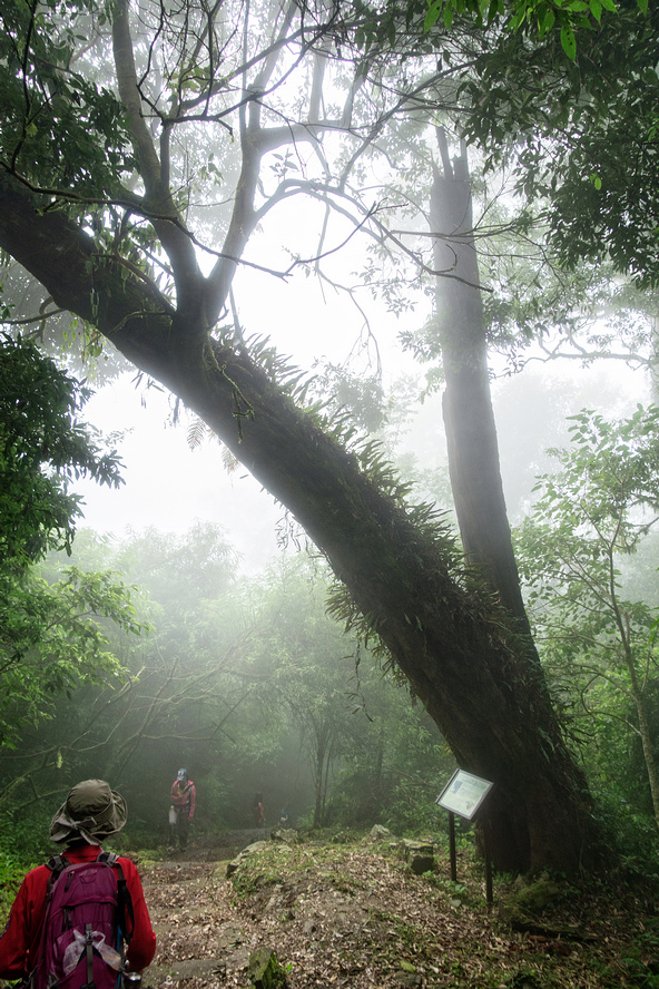 DSC07068-編輯.jpg DSC07068-編輯.jpg