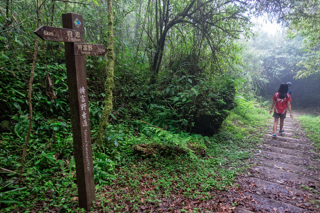 DSC07070-編輯.jpg DSC07070-編輯.jpg