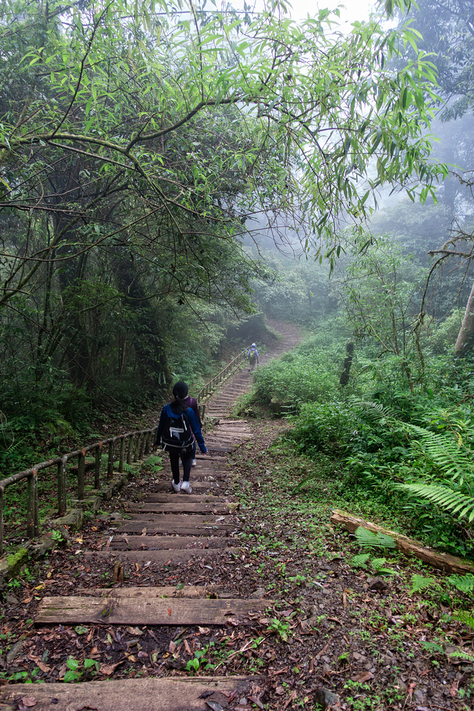 DSC07074-編輯.jpg DSC07074-編輯.jpg