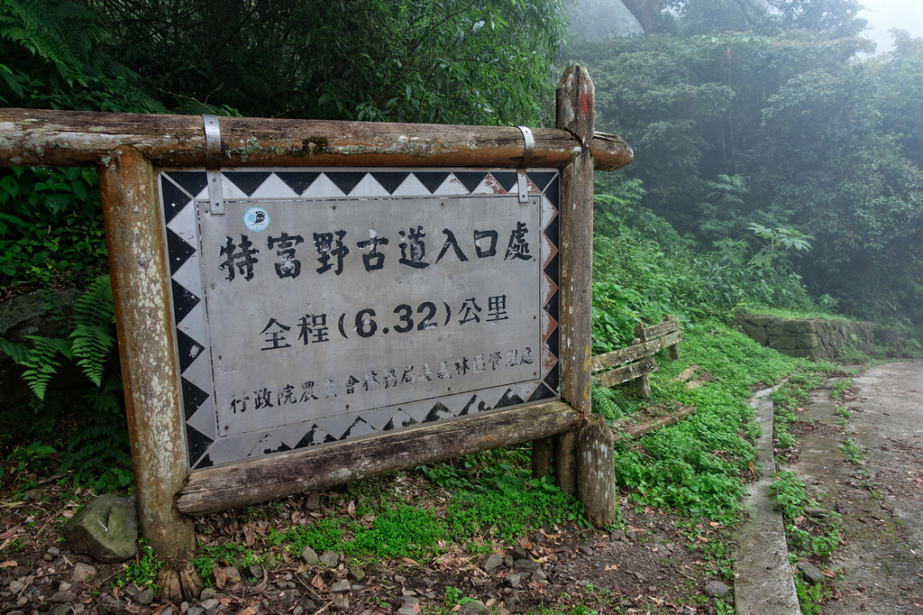 DSC07076-編輯.jpg DSC07076-編輯.jpg