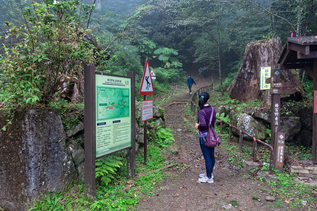 DSC07077-編輯.jpg DSC07077-編輯.jpg