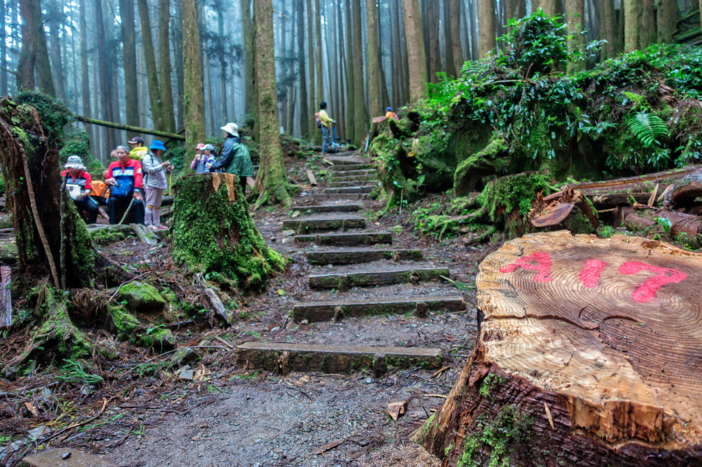 DSC07096-編輯.jpg DSC07096-編輯.jpg