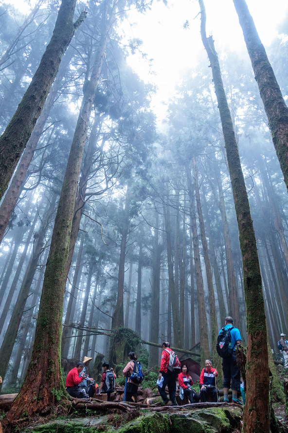 DSC07099-編輯.jpg DSC07099-編輯.jpg