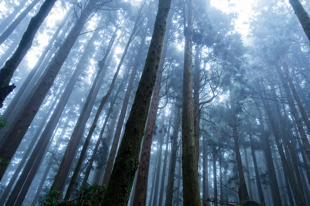 DSC07100-編輯.jpg DSC07100-編輯.jpg