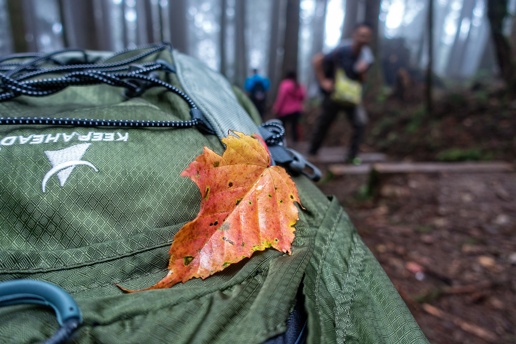 DSC07106-編輯.jpg DSC07106-編輯.jpg