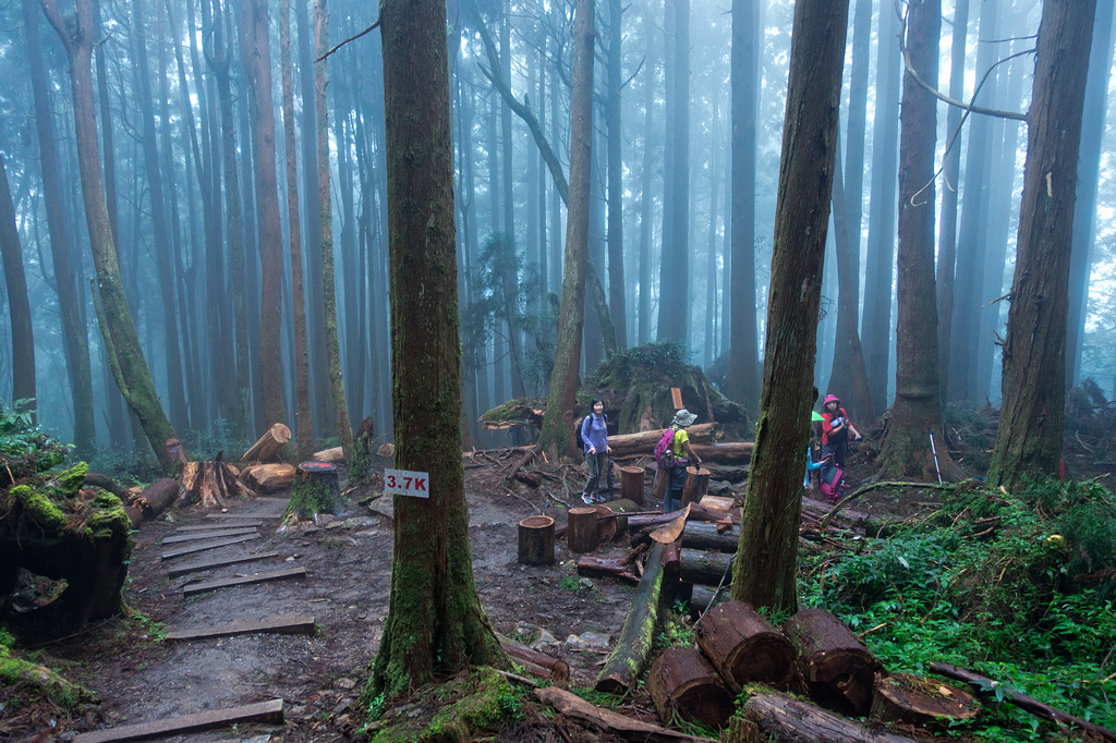 DSC07130-編輯.jpg DSC07130-編輯.jpg