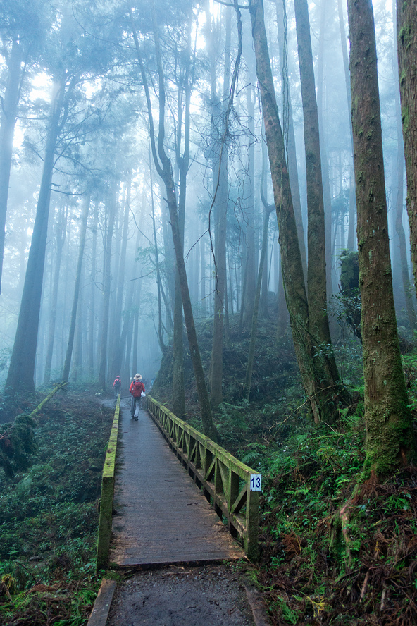 DSC07133-編輯.jpg DSC07133-編輯.jpg