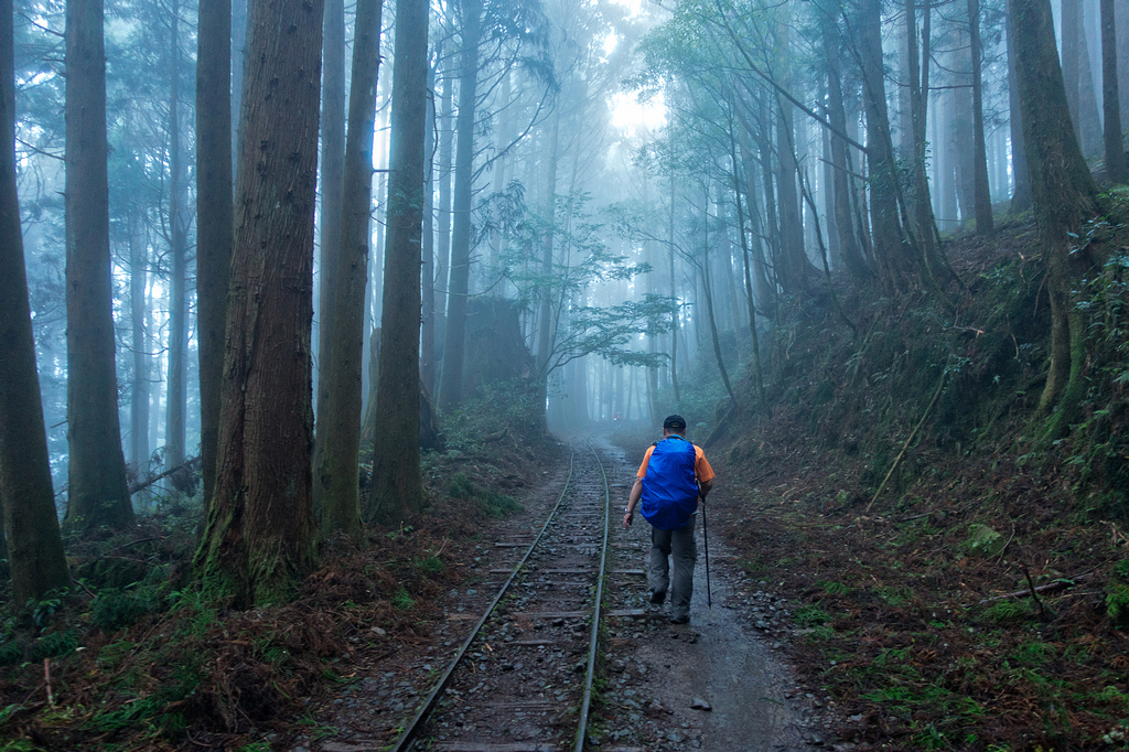 DSC07135-編輯.jpg DSC07135-編輯.jpg