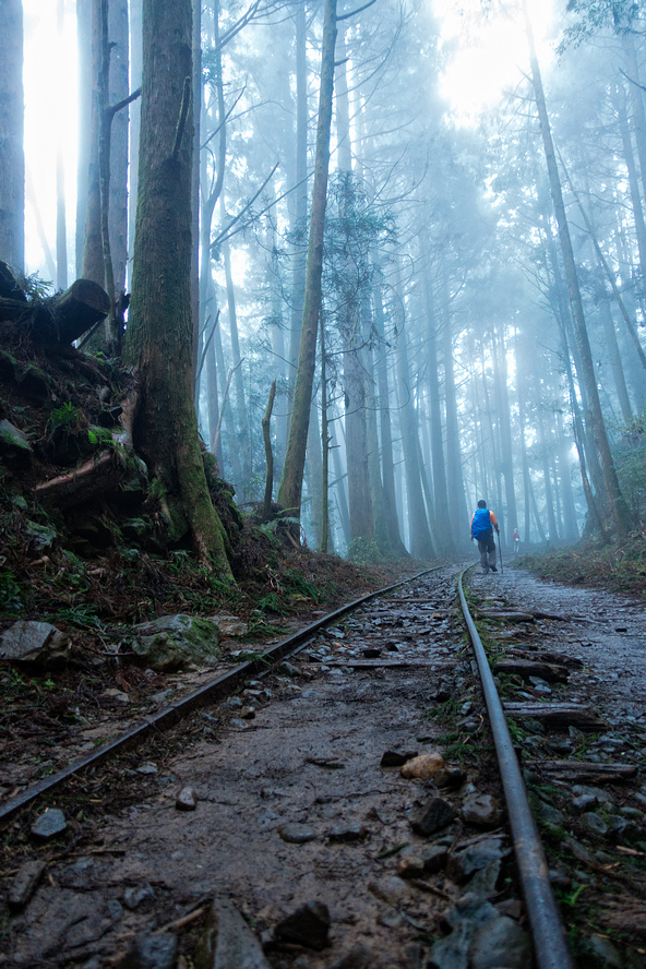 DSC07137-編輯.jpg DSC07137-編輯.jpg