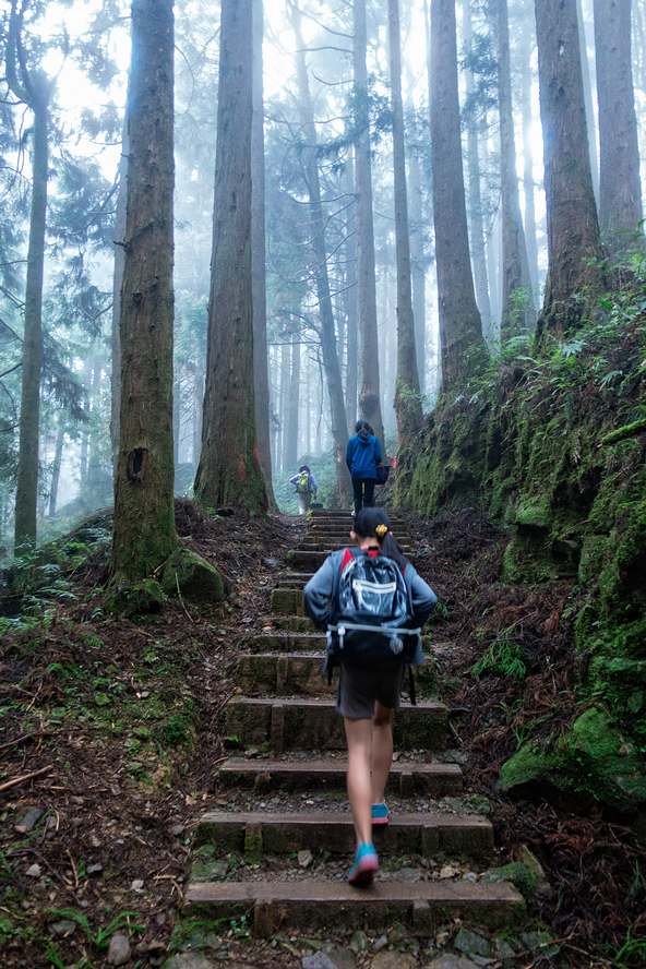 DSC07149-編輯.jpg DSC07149-編輯.jpg