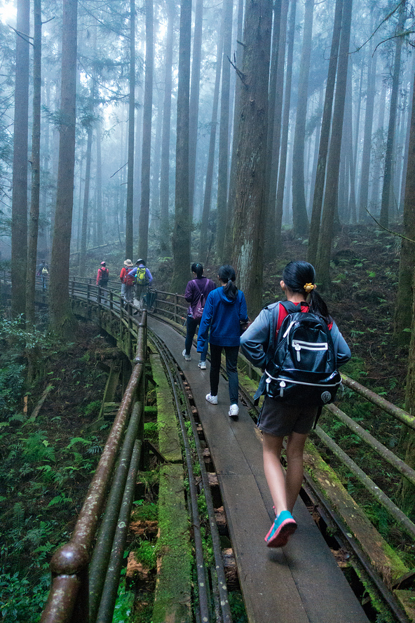 DSC07150-編輯.jpg DSC07150-編輯.jpg