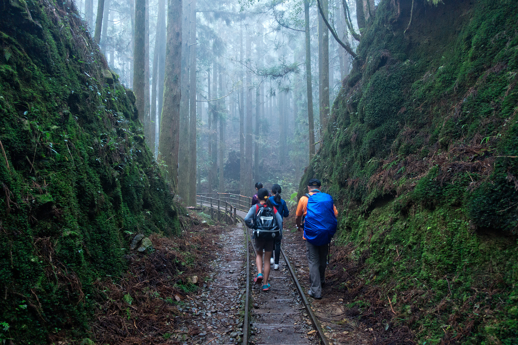 DSC07151-編輯.jpg DSC07151-編輯.jpg