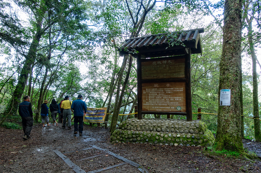 DSC07165-編輯.jpg DSC07165-編輯.jpg