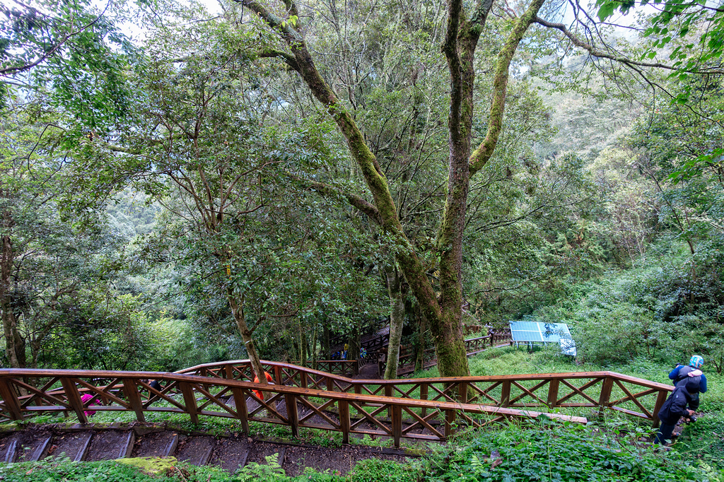 DSC07166-編輯.jpg DSC07166-編輯.jpg