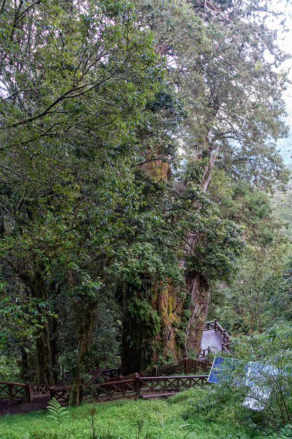 DSC07172-編輯.jpg DSC07172-編輯.jpg