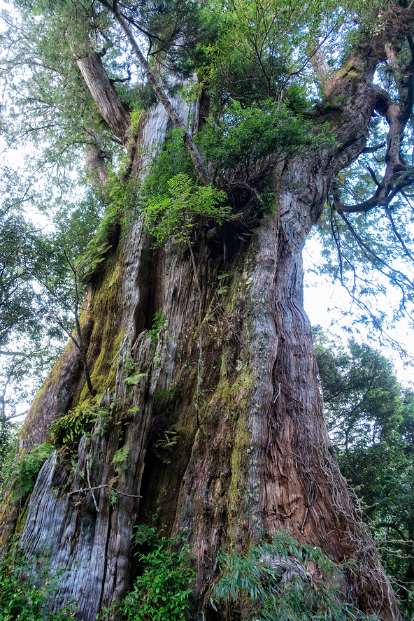 DSC07179-編輯.jpg DSC07179-編輯.jpg