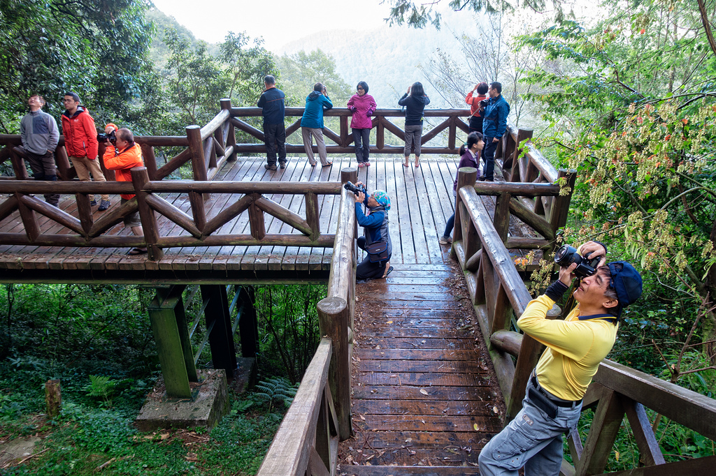 DSC07183-編輯.jpg DSC07183-編輯.jpg