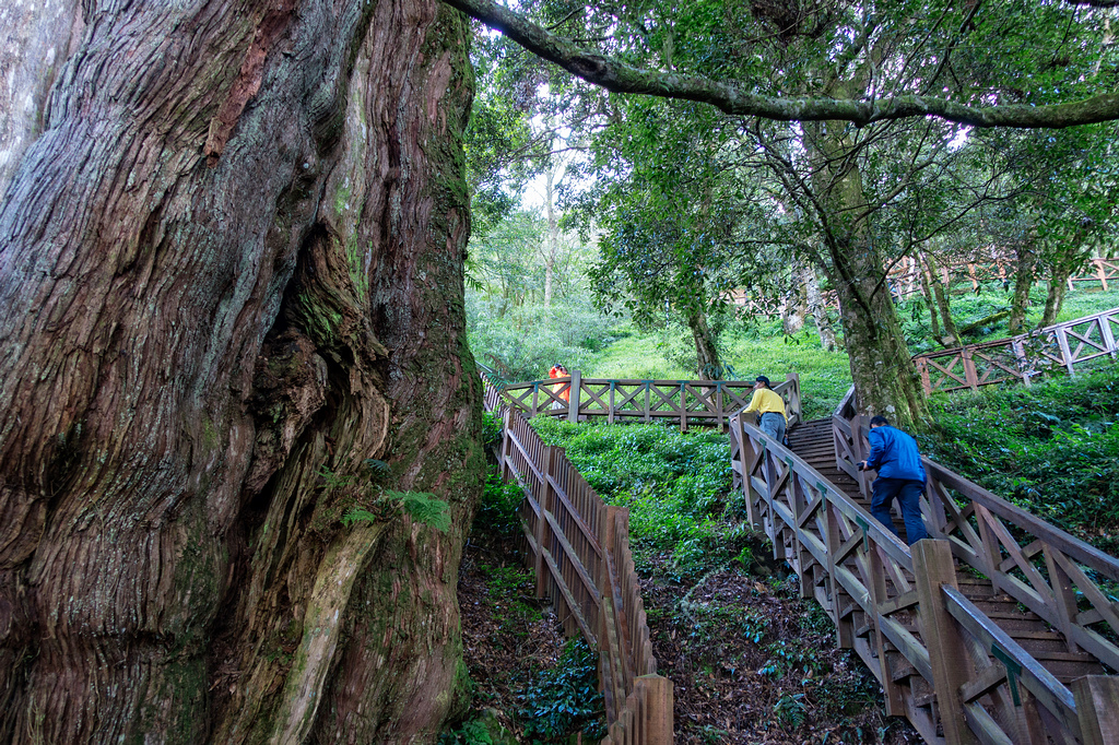 DSC07197-編輯.jpg DSC07197-編輯.jpg