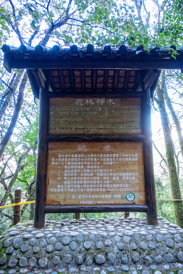 DSC07204-編輯.jpg DSC07204-編輯.jpg