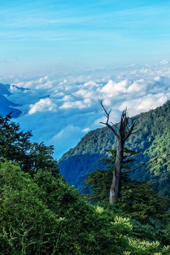 DSC07215-編輯.jpg DSC07215-編輯.jpg