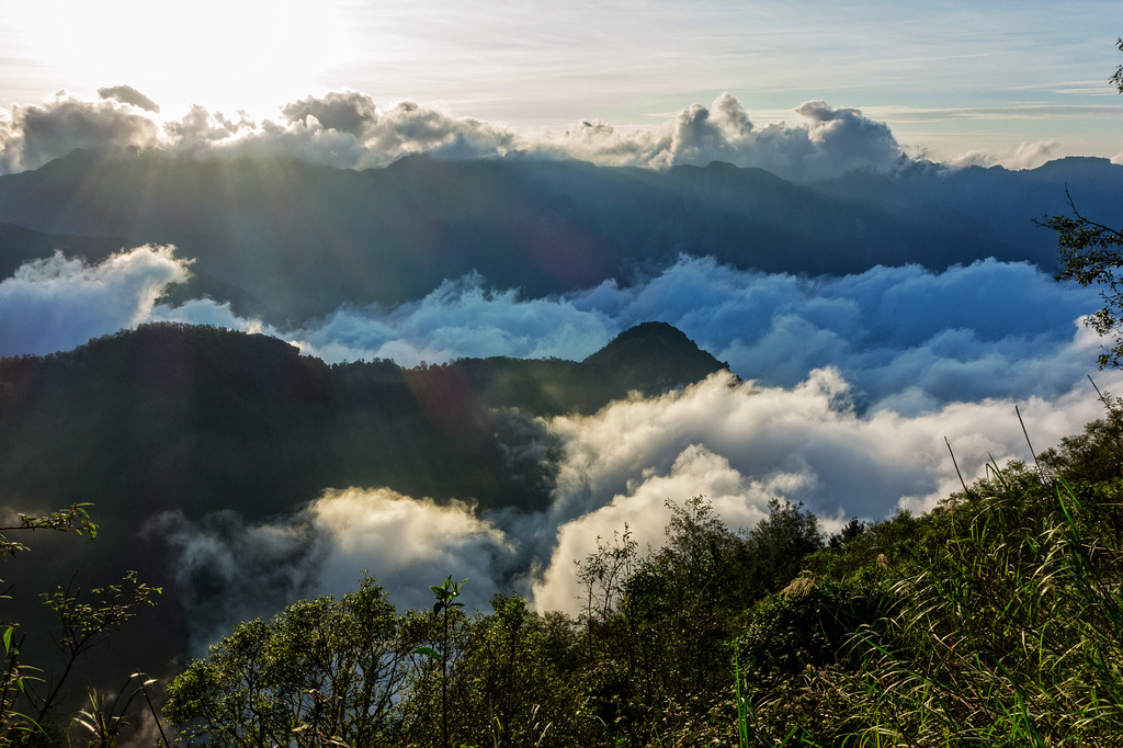 DSC07234-編輯.jpg DSC07234-編輯.jpg